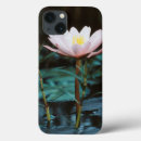 Search for close up view cases Danita delimont