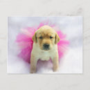 Search for cute little dog postcards Pink