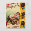 Search for bob cat postcards Bobbing for apples