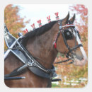 Search for clydesdale horse stickers Draught