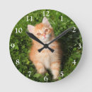 Search for orange tabby cat clocks Animal