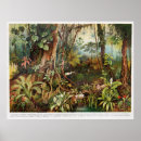 Search for plant drawing posters Vintage