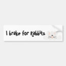 Search for rabbit bumper stickers Cute