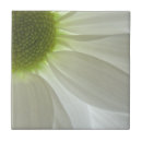 Search for daisy tiles Pretty