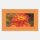 Search for dew stickers Orange