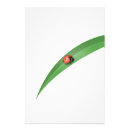 Search for colourful insect posters Bug