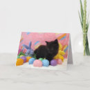 Search for black cat easter cards Feline