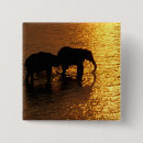 Search for botswana badges Fauna