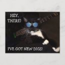Search for funny cat postcards Cool