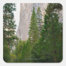 Search for yosemite stickers Outdoors