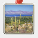 Search for blue sky christmas tree decorations Mexico