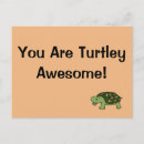 Search for funny turtles postcards Tortoise