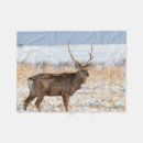 Search for stag blankets Wildlife