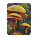 Search for fantasy rectangular magnets Beautiful
