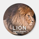 Search for leo kitchen dining Animal