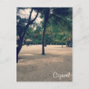 Search for cozumel postcards Beach