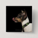 Search for terrier badges Animal