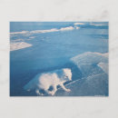 Search for fox postcards Travel