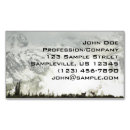Search for elk business cards Snow