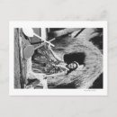 Search for hawaii canoe postcards Outrigger