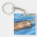 Search for ecological key rings Wildlife