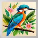 Search for kingfisher posters Wildlife