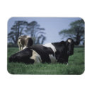 Search for pasture magnets Green