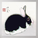 Search for black rabbit art Bunny