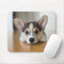 Search for cute corgi mousepads Pet