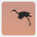 Search for sandhill stickers Crane