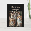 Search for from the cat birthday cards Humour