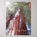 Search for love never fails posters Scripture