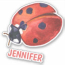 Search for ladybug stickers Back to school