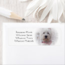 Search for terrier return address labels Westie