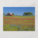Search for flowerbeds postcards Tree
