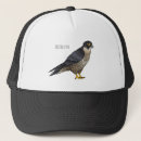 Search for falconer hats Bird of prey