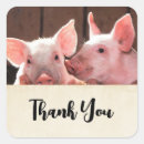 Search for cute piglet stickers Pink