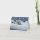 Search for seal cards Winter