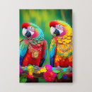 Search for parrot macaw badges Macaws