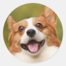 Search for dog photos stickers Pet