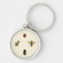 Search for the beetle key rings Insects