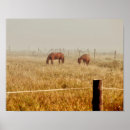 Search for abstract horse art Brown