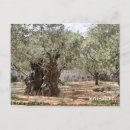 Search for gethsemane postcards Israel