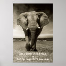 Search for elephant sayings Quote