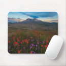 Search for dirt road mousepads Landscape