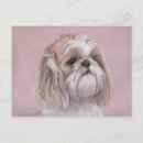 Search for shih postcards Animal