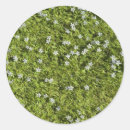 Search for leaf texture stickers Garden