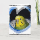 Search for parakeet cards Blue