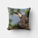 Search for eagle cushions Predator