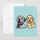 Search for dog meme postcards Funny